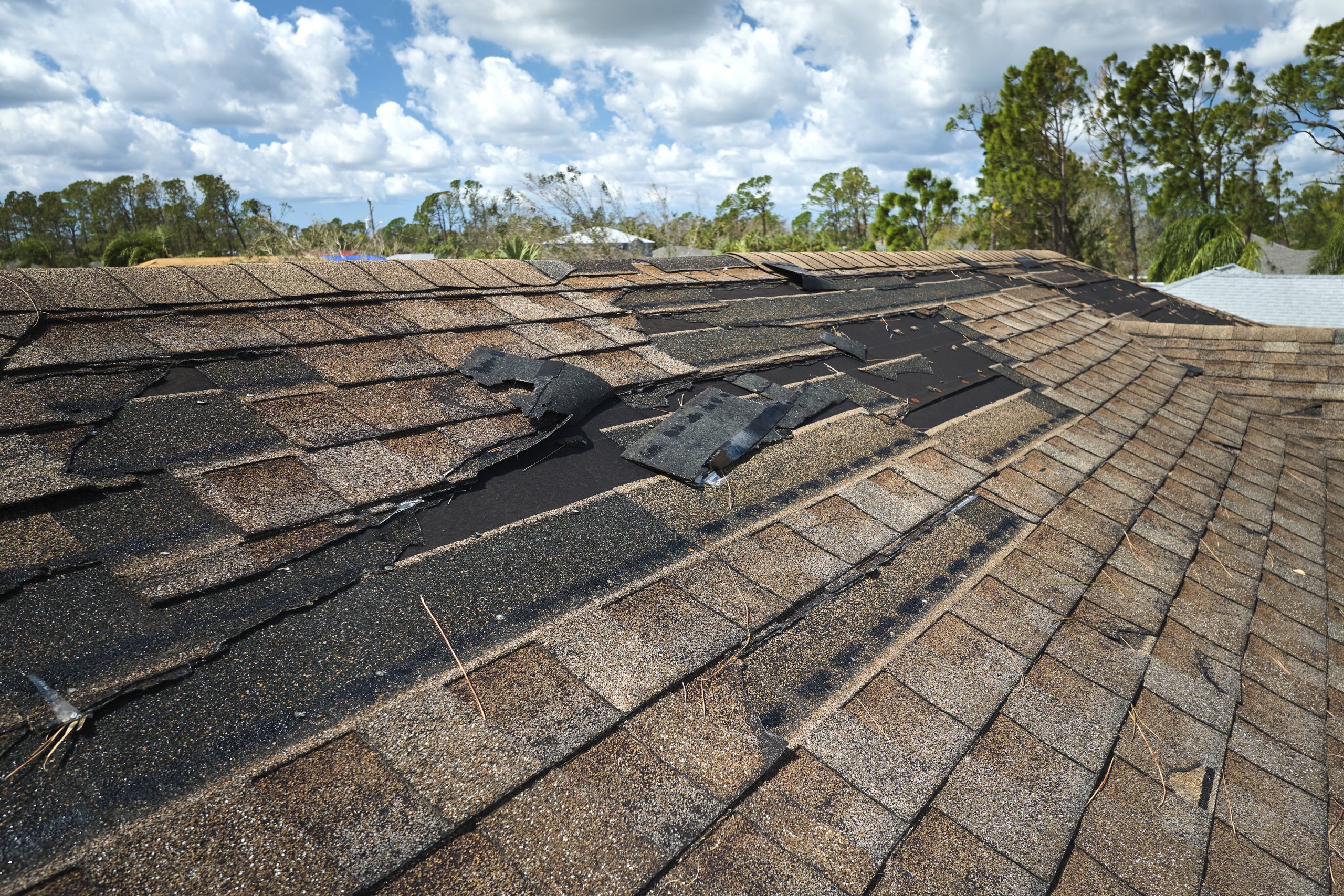 Missing shingles and roof damage