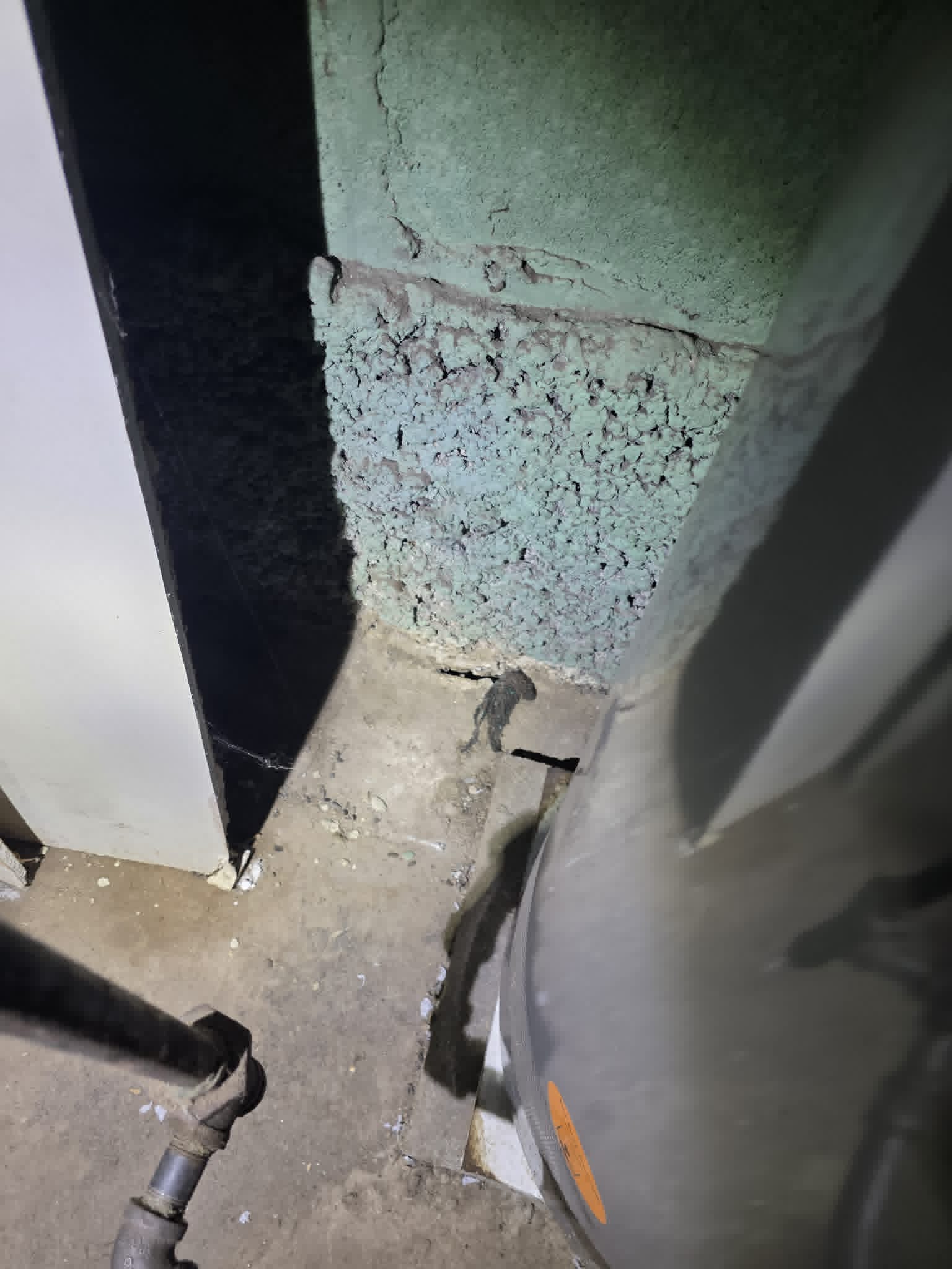 Mouse droppings found during mouse control service in Prospect Park NJ