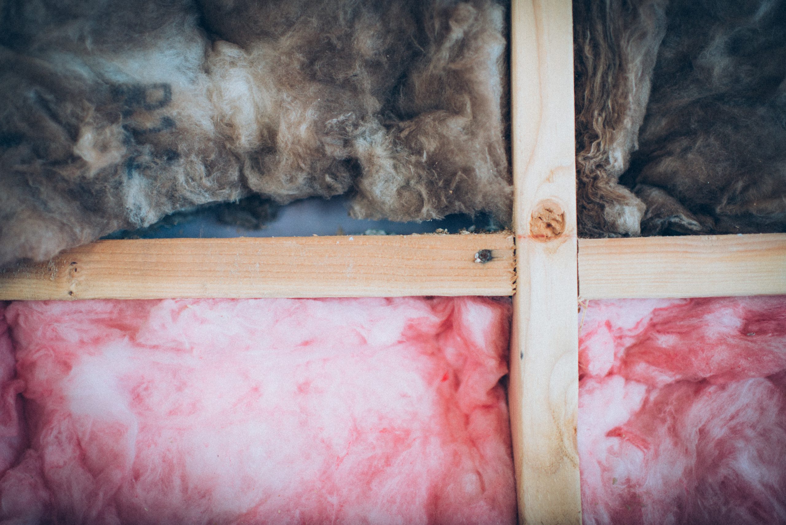 Rodent damaged insulation and attic restoration need in Prospect Park NJ