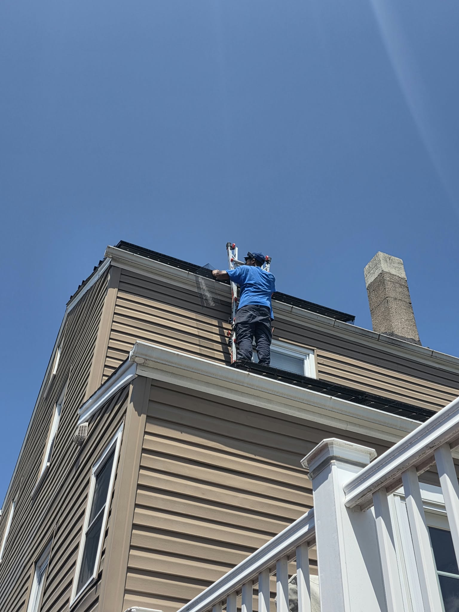 Stainless-steel critter guard mesh installed around rooftop solar panels