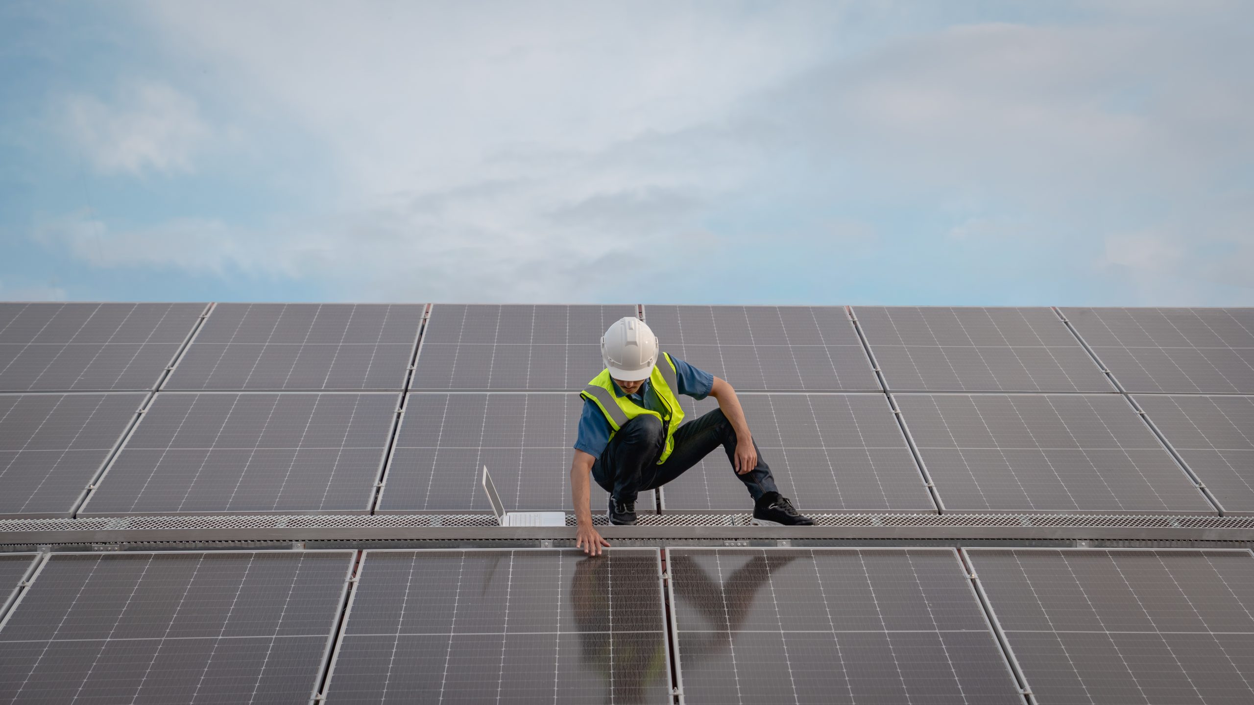 Inspecting rows of rooftop solar panels for nests and entry gaps